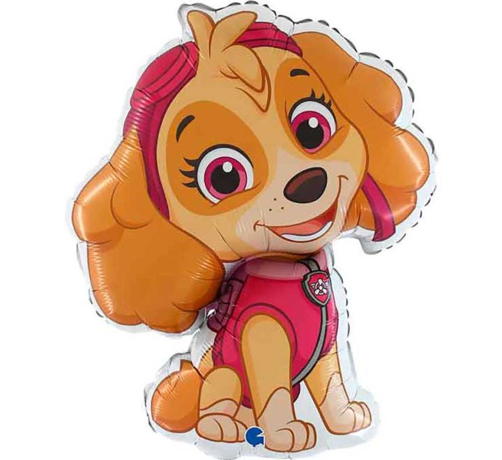 Skye foliu ballon