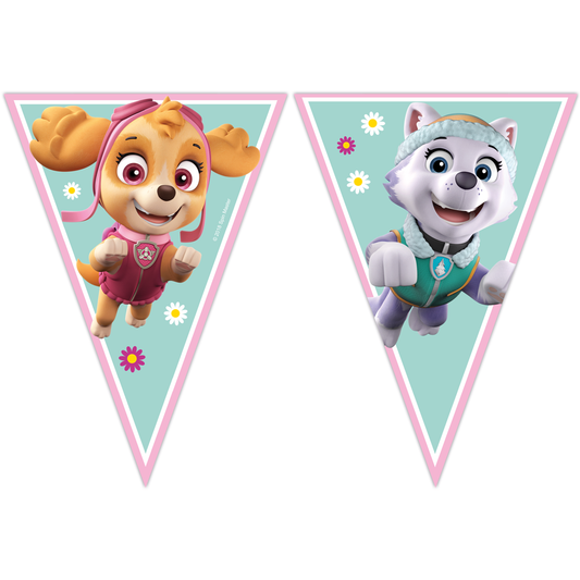 Paw Patrol Skye & Everest Vimpul