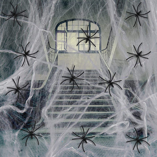 Spider web