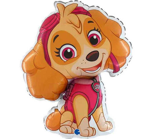 Skye foliu ballon